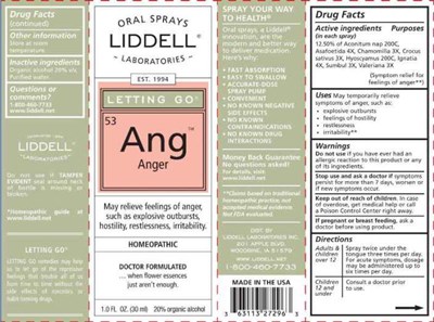 Anger Ctn (Lidl08 Anger Ctn 7 20 2020)